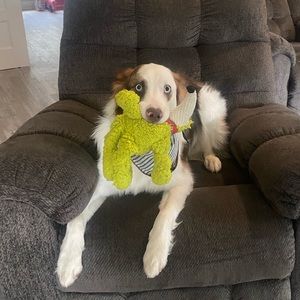 Meet your Posher, Elise